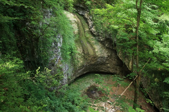 2021_06_16 potep po območju občine Laško - foto