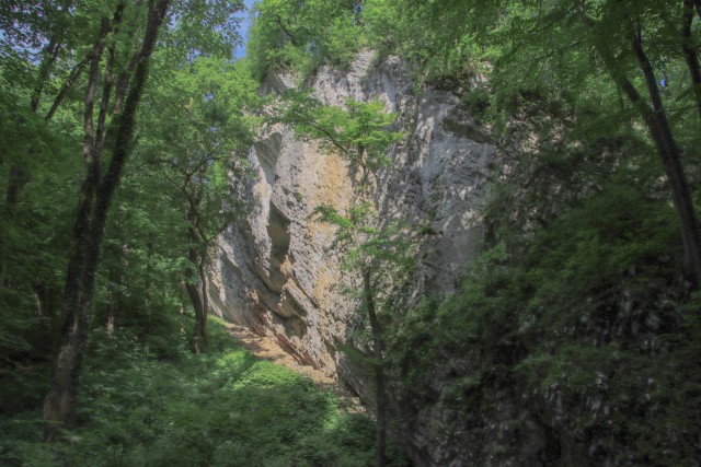 2021_06_16 potep po območju občine Laško - foto