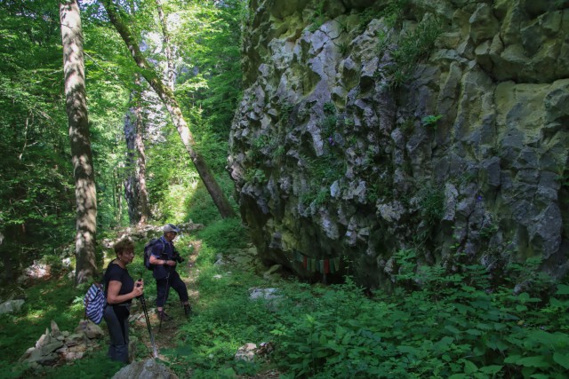 2021_06_16 potep po območju občine Laško - foto