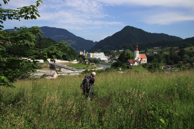 2021_06_16 potep po območju občine Laško - foto