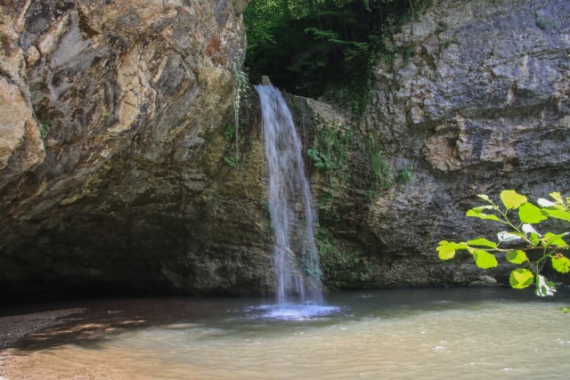 2021_06_16 potep po območju občine Laško - foto