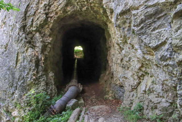 2021_06_16 potep po območju občine Laško - foto