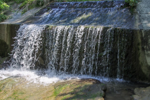 2021_06_16 potep po območju občine Laško - foto