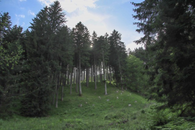 2021_06_29 Storžič ( 2132 m )  - foto