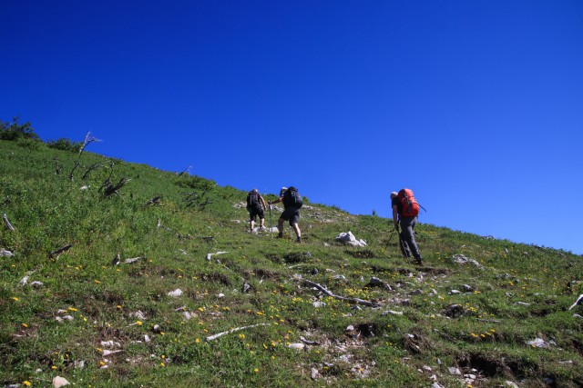 2021_07_06 ( Lučki dedec ( 2023 m )  - foto