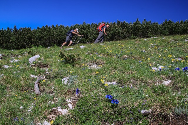 2021_07_06 ( Lučki dedec ( 2023 m )  - foto