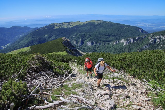 2021_07_06 ( Lučki dedec ( 2023 m )  - foto