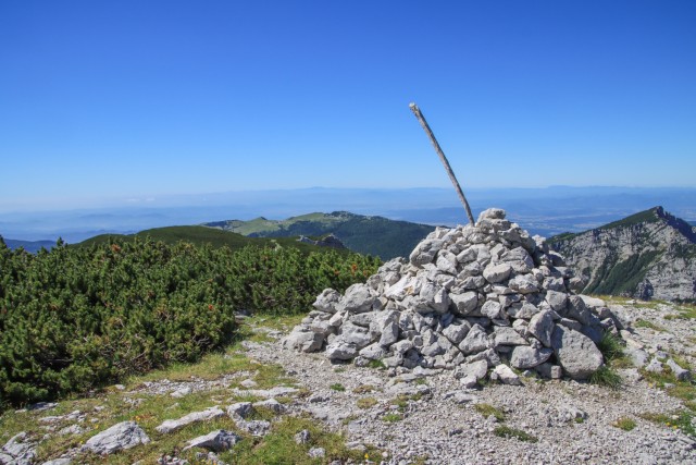 2021_07_06 ( Lučki dedec ( 2023 m )  - foto
