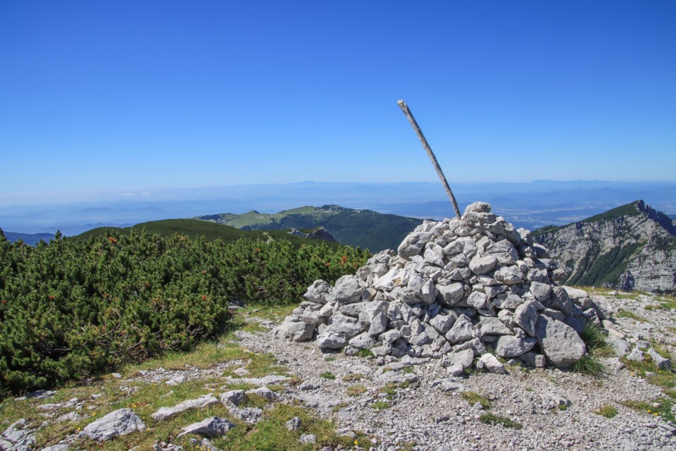 2021_07_06 ( Lučki dedec ( 2023 m )  - foto povečava