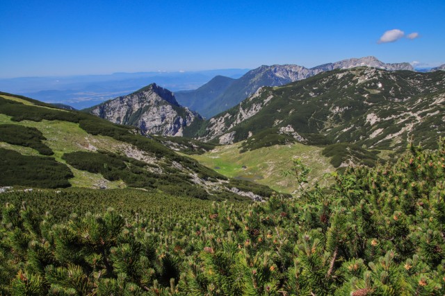 2021_07_06 ( Lučki dedec ( 2023 m )  - foto