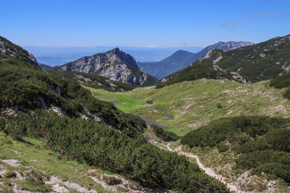 2021_07_06 ( Lučki dedec ( 2023 m )  - foto povečava