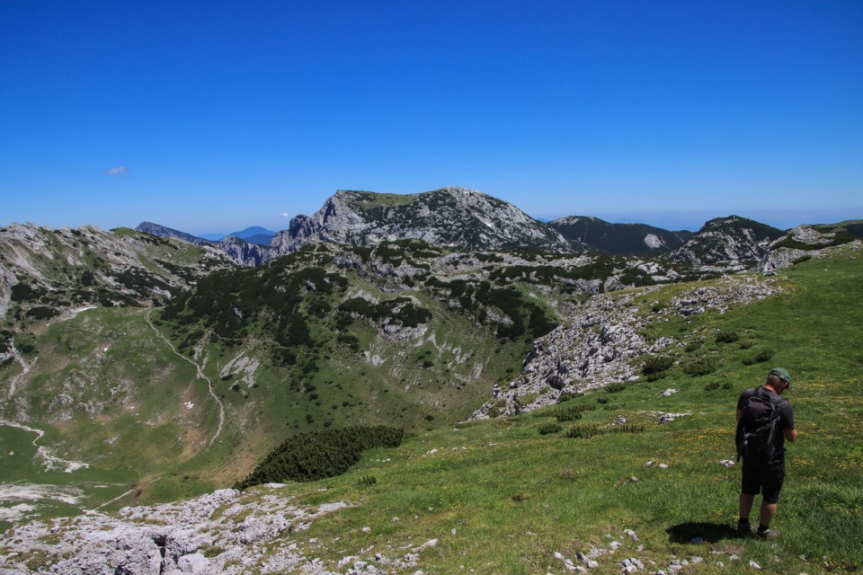 2021_07_06 ( Lučki dedec ( 2023 m )  - foto povečava