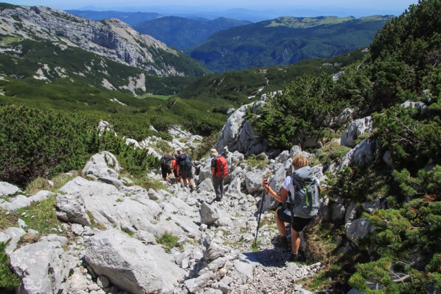 2021_07_06 ( Lučki dedec ( 2023 m )  - foto