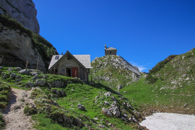 2021_07_06 ( Lučki dedec ( 2023 m )  - foto