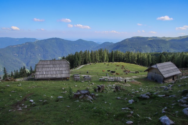 2021_07_06 ( Lučki dedec ( 2023 m )  - foto