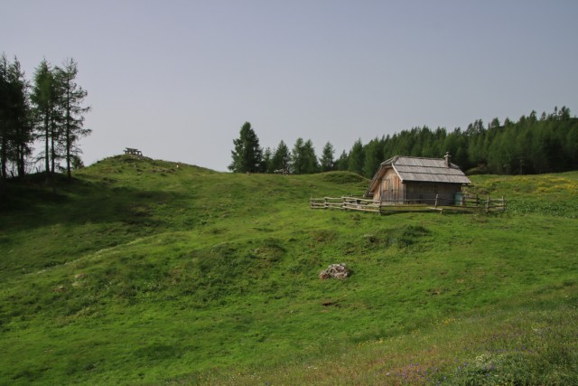 2021_07_13 Križevnik - V. Zelenica - V. vrh - foto