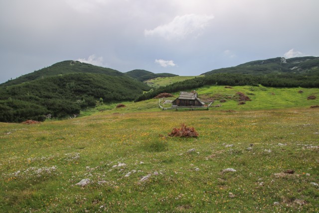 2021_07_13 Križevnik - V. Zelenica - V. vrh - foto
