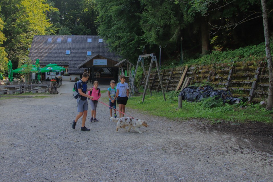 2021_07_22 Trdinov vrh ( 1178 m )  - foto povečava