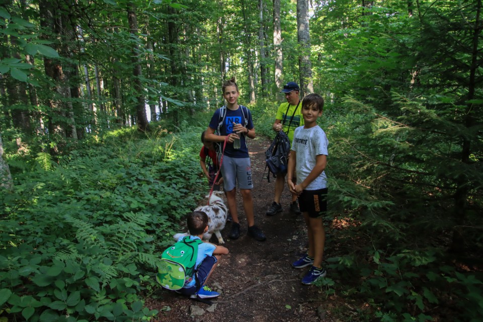 2021_07_22 Trdinov vrh ( 1178 m )  - foto povečava