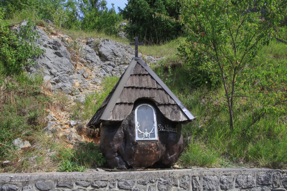 2021_08_04 Kočevsko - foto povečava