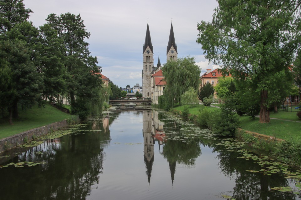 2021_08_04 Kočevsko - foto povečava