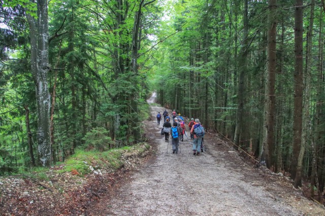 Planica - Tamar- izvir Nadiže - foto
