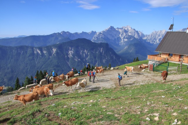 2021_08_26 Dovška Baba in Hruški vrh - foto