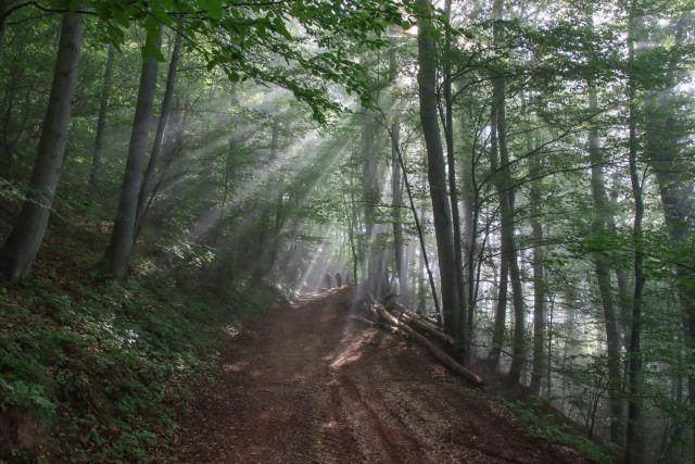 2021_08_31 Stražnik in Kopitnik - foto