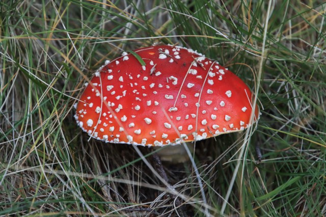 2021_09_28 Lovrenška jezera - foto