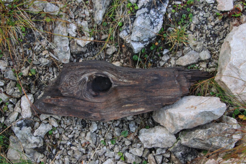 2021_10_02 Na Pečeh ( 2039 m ) - foto povečava