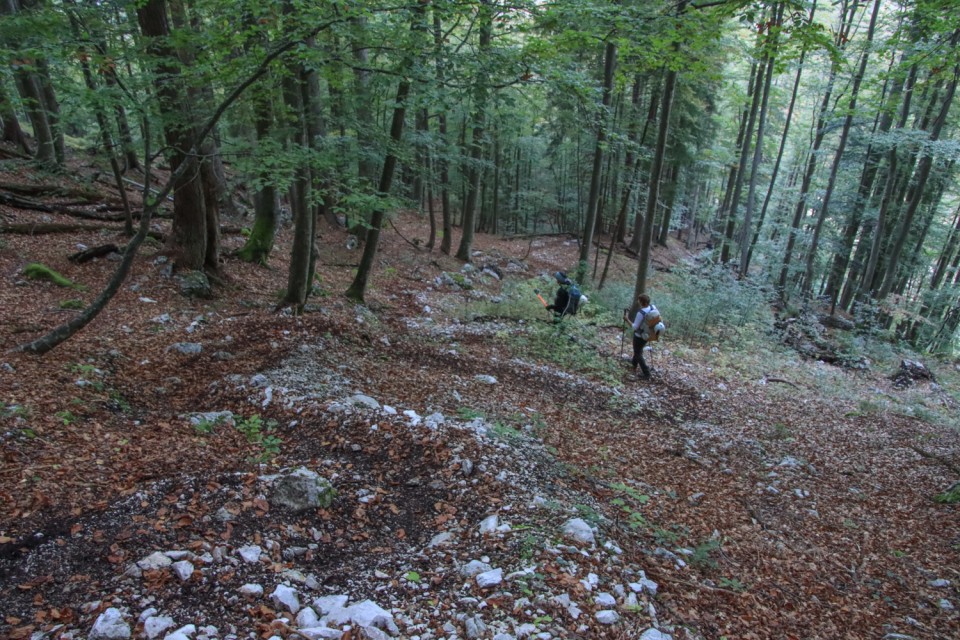 2021_10_02 Na Pečeh ( 2039 m ) - foto povečava