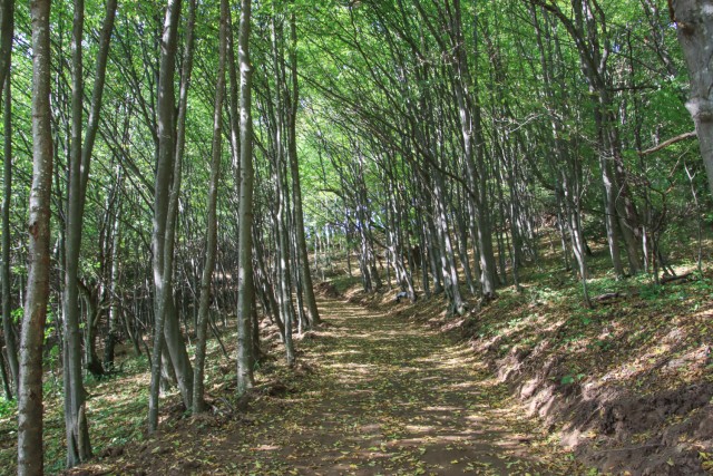 2021_10_05 Prapretno - Lisca - Sevnica - foto