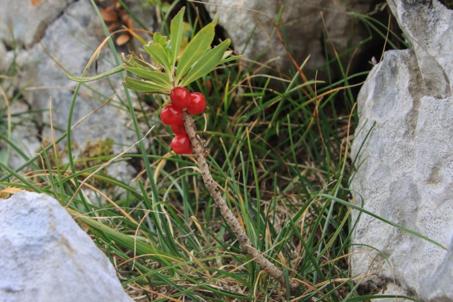 2021_10_10 Koča pri Triglavskih jezerih - foto