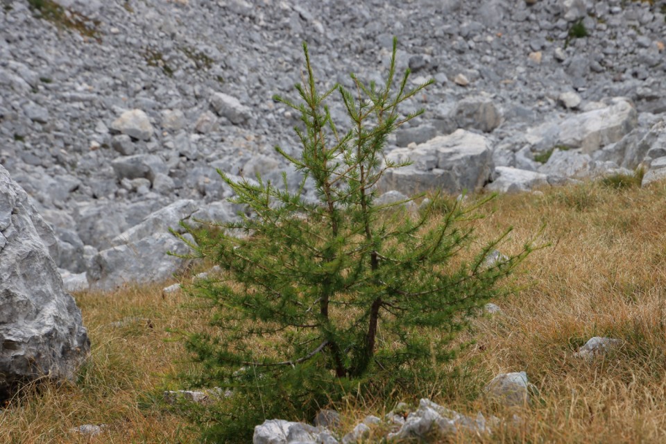 2021_10_10 Koča pri Triglavskih jezerih - foto povečava