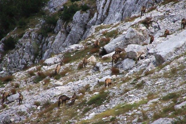 2021_10_11 Dolina Zadnjica - foto