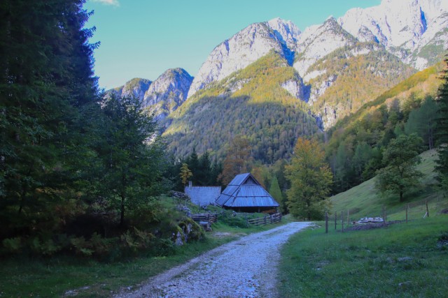 2021_10_11 Dolina Zadnjica - foto