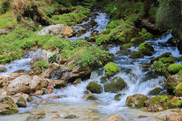 2021_10_11 Dolina Zadnjica - foto