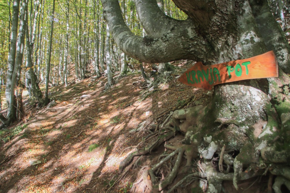 2021_10_17 Tolminski Kuk ( 2085 m )  - foto povečava