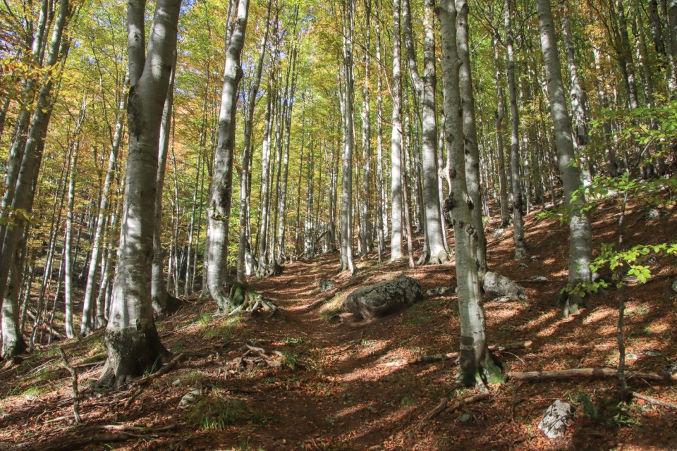 2021_10_17 Tolminski Kuk ( 2085 m )  - foto povečava