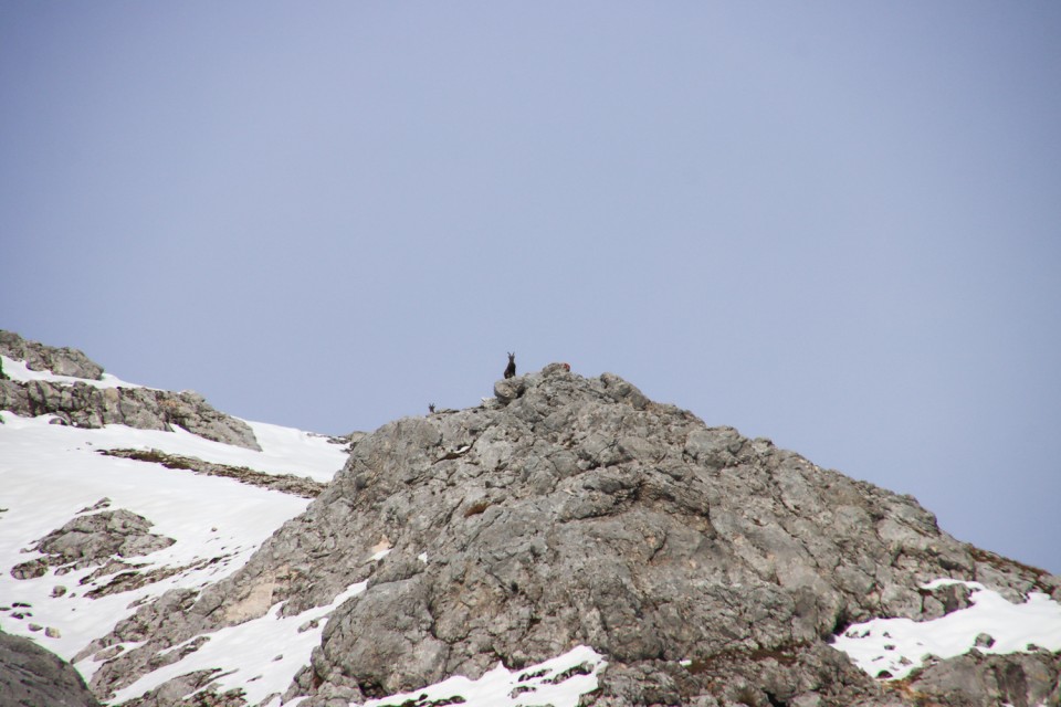 2021_10_19 Veliki Pršivec ( 2056 m )  - foto povečava