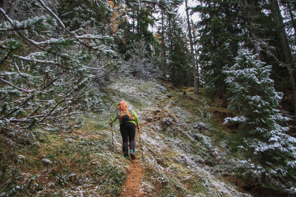 2021_11_06 Peca -  Kordeževa glava - foto povečava