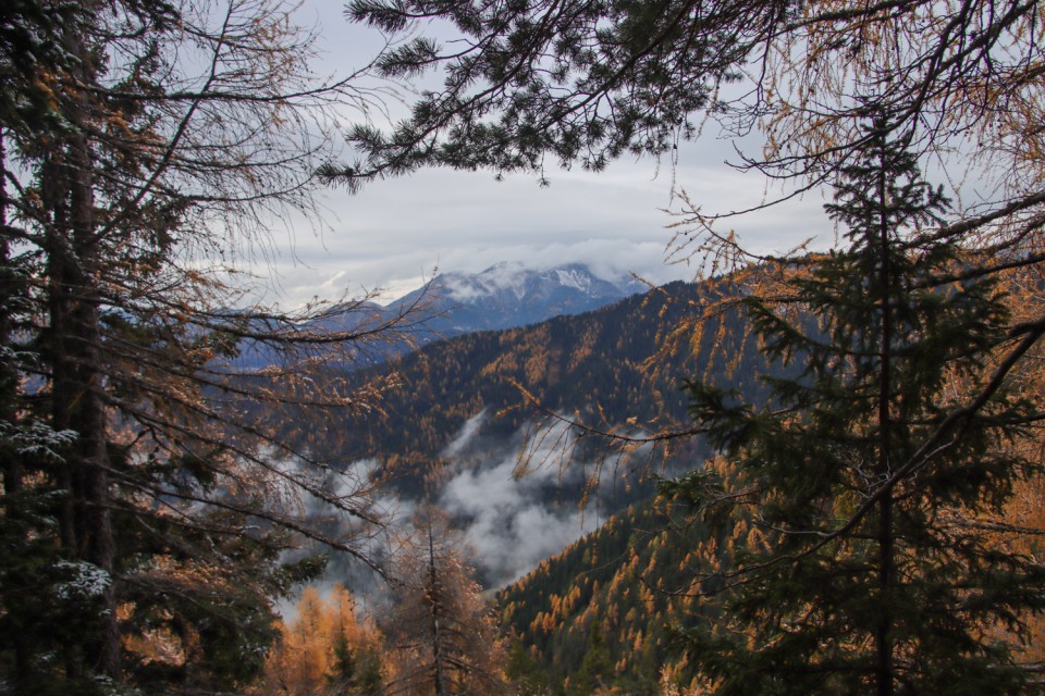 2021_11_06 Peca -  Kordeževa glava - foto povečava