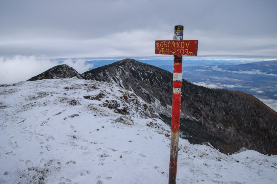 2021_11_06 Peca -  Kordeževa glava - foto povečava