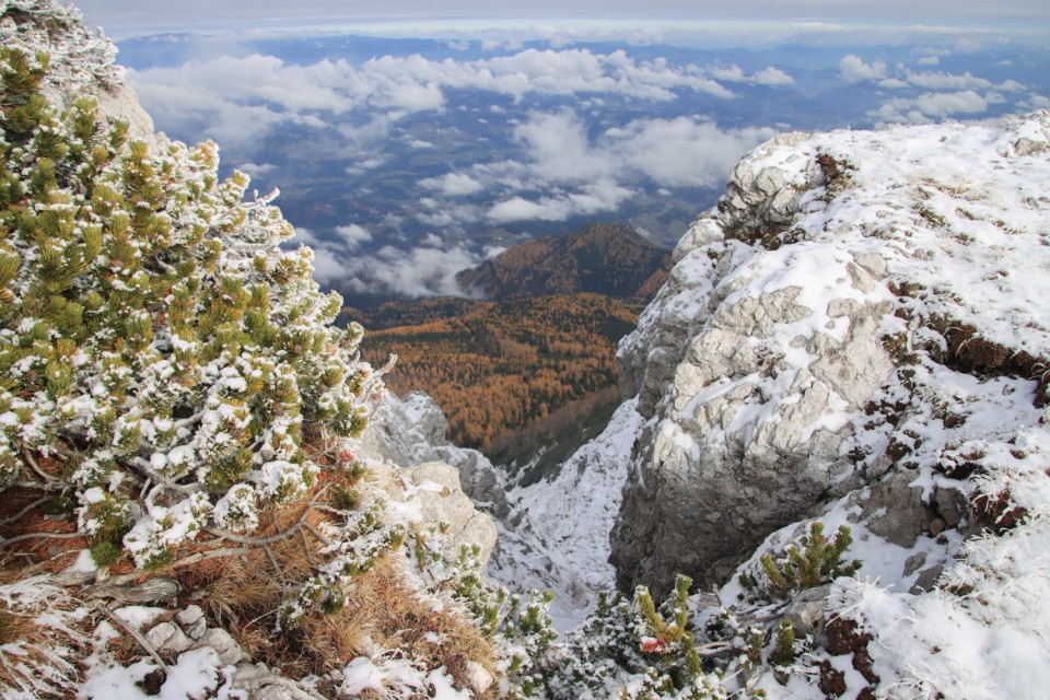 2021_11_06 Peca -  Kordeževa glava - foto povečava