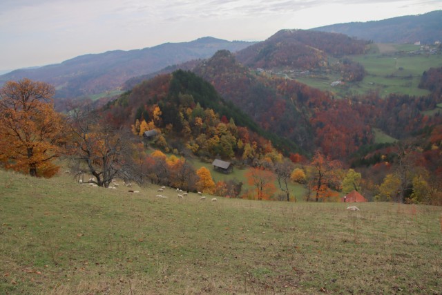 2021_11_07 Kum ( 1220 m ) - foto