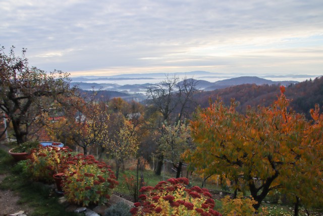 2021_11_09 Osredek - - Kal - Kladje - Osredek - foto