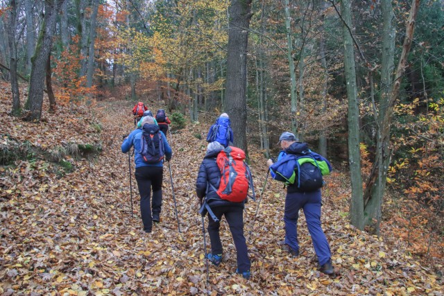 2021_11_16 Sevnica - Razbor - Breg - Šmarčna  - foto