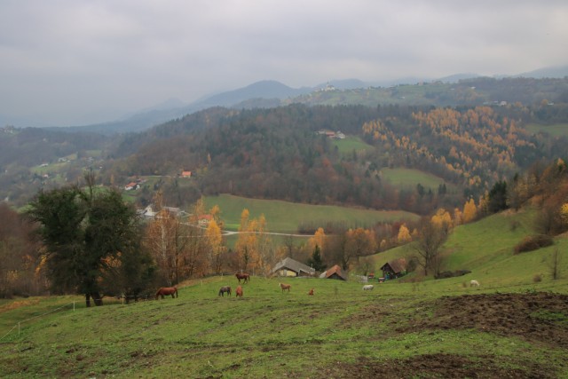 2021_11_16 Sevnica - Razbor - Breg - Šmarčna  - foto
