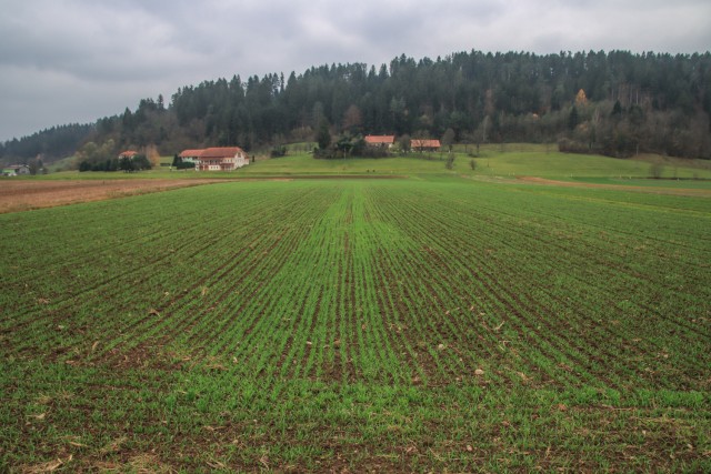 2021_11_16 Sevnica - Razbor - Breg - Šmarčna  - foto
