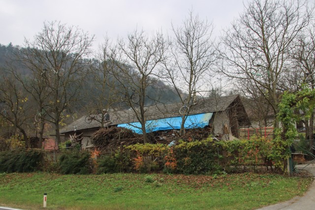 2021_11_16 Sevnica - Razbor - Breg - Šmarčna  - foto